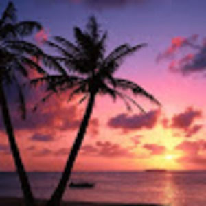 Meet your Posher, Inho